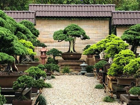 Pin by Bagus Wijaya on Bonsai.insp2 | Japanese garden landscape, Japanese garden backyard ...