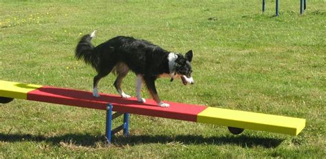 Dog Park Equipment - General Recreation Inc