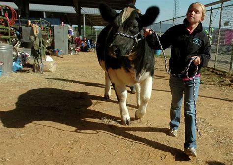 South Texas State Fair's livestock competitions score a 'Bullseye'