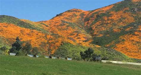 Lake Elsinore 2019 | Natural landmarks, Lake elsinore, Lake