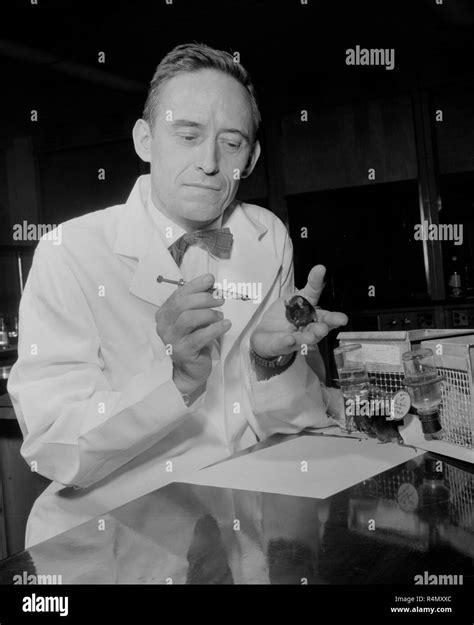 A technician work at an American Cancer Society Research Center at UCLA in Southern California ...