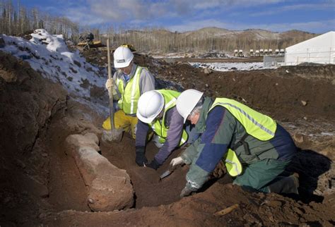 Home - Snowmass Ice Age Discovery