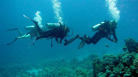 Book Scuba Diving in Andaman Islands Tour Packages from Andaman Tourism