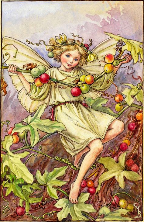 White Bryony Fairy - Cicely Mary Barker | Autumn fairy, Flower fairies, Fairy artwork