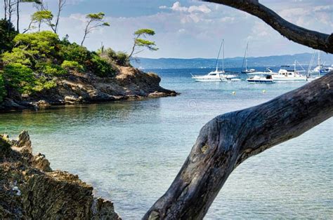 The Beautiful Beaches of the Island of Porquerolles, Off the French ...