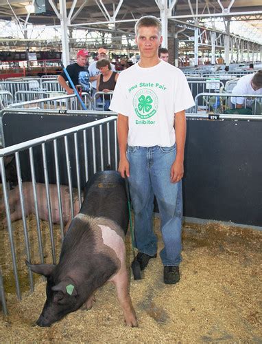 4-H State Fair Livestock | Iowa 4-H | Flickr