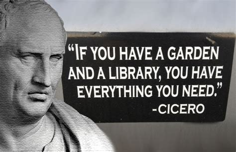 Cicero and the Summer of 45 - Resilience