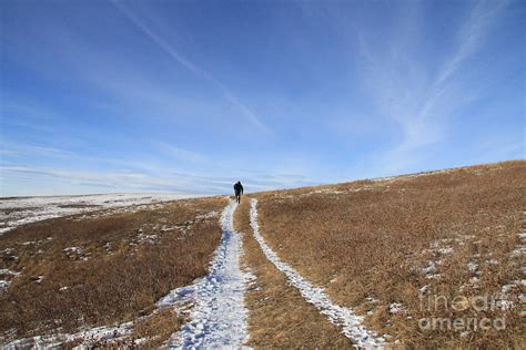 Nose Hill Park Trails Photograph by Helen Bobis - Fine Art America