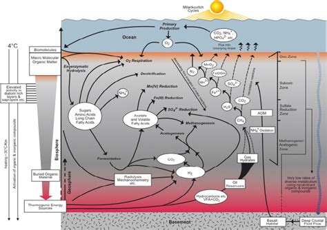 Biosphere Diagram