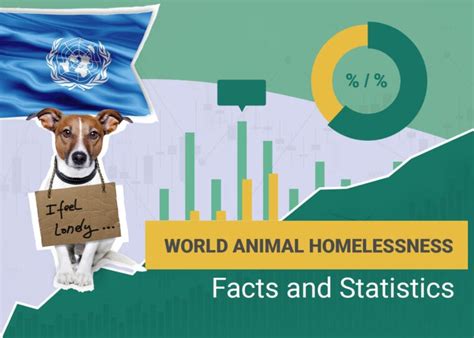 11 Heartbreaking Animal Homelessness Statistics: 2024 Update | Pet Keen