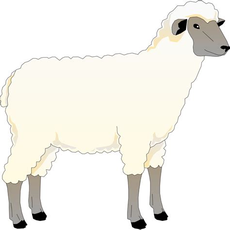 Wooly Sheep PNG, SVG Clip art for Web - Download Clip Art, PNG Icon Arts