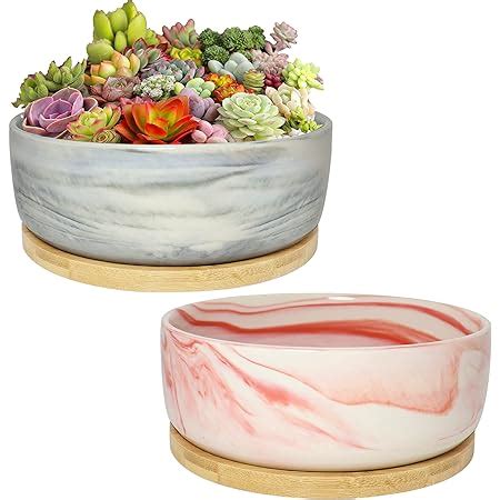 Amazon.com : Succulent Pots with Drainage, 6.1 Inch Large Succulent Planter Pots with Tray ...