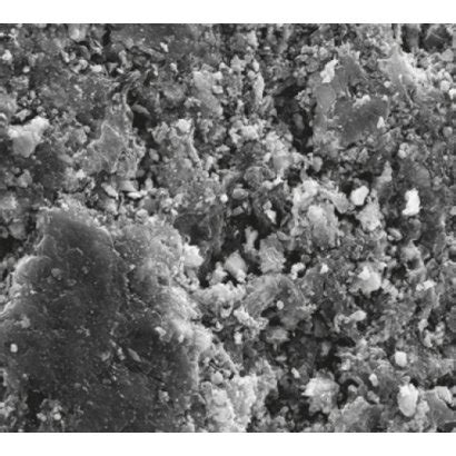 SEM images of (a) pyrolytic carbon and (b) activated carbon. | Download ...