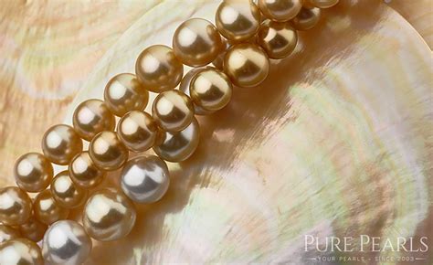 Pearl Types 101 - Akoya, Tahitian, Freshwater & South Sea Pearls - Pure ...