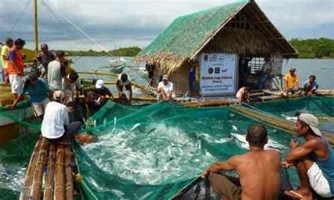 Nature and Farming: Aquaculture