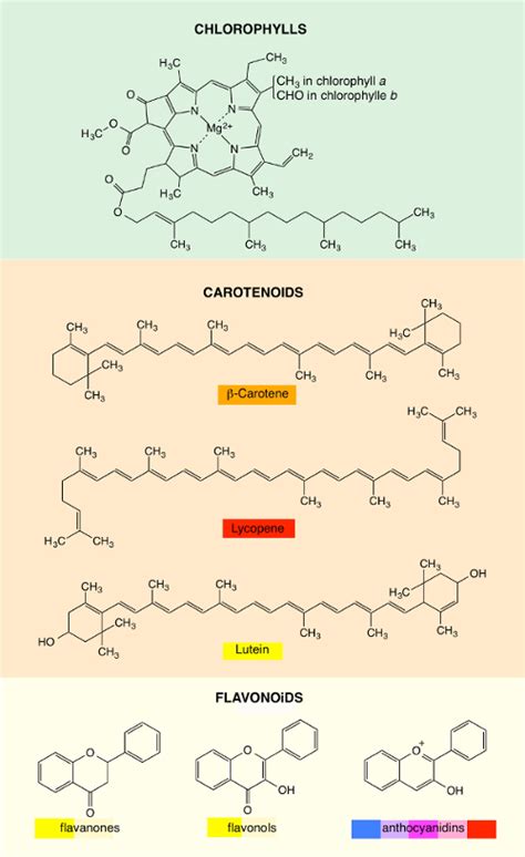 The Colors of Life :: ChemViews Magazine :: ChemistryViews