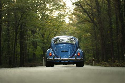 cabin, carriage, classic, grass, outdoors, rocks, trees, vehicle ...