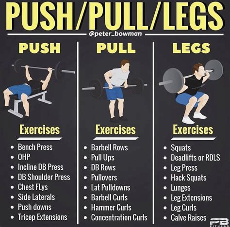 push/pull workout - Yahoo Image Search Results Push Pull Legs Workout ...