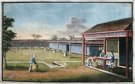 A tea plantation in China: workers seated on a verandah grade … stock image | Look and Learn