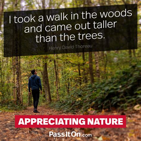 “I took a walk in the woods and came out taller than the trees.” —Henry David Thoreau | PassItOn ...