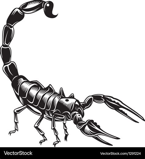 Scorpion Royalty Free Vector Image - VectorStock