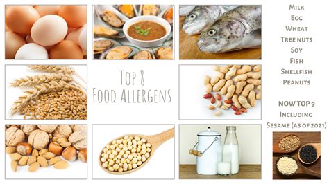 Food Allergies - THE MINDFULLY SCIENTIFIC MAMA