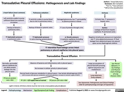 transudative-pleural-effusions-pathogenesis-and-lab-findings | Calgary Guide