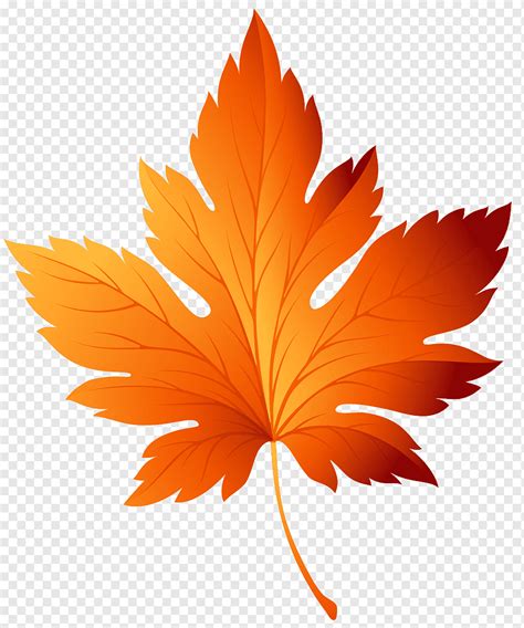 Fall Leaf Png