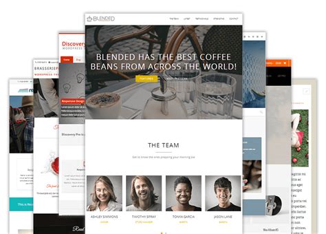 Top 7 Premium WordPress themes - Web Designer Pad