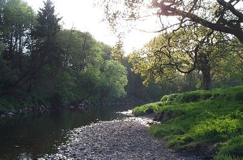 River Endrick – Killearn, Scotland