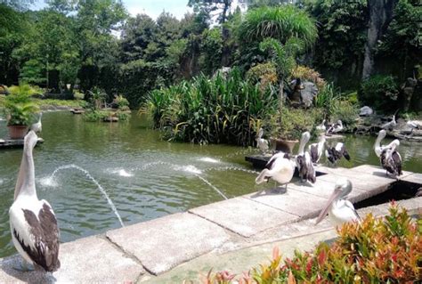 Cek Jadwal dan Harga Tiket Masuk Ragunan 2023 di Sini : Okezone Travel