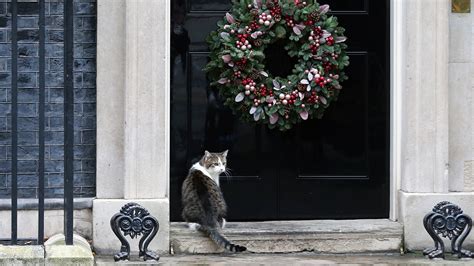 Larry the Cat: The history of Britain's 'Chief Mouser' | Sky HISTORY TV Channel