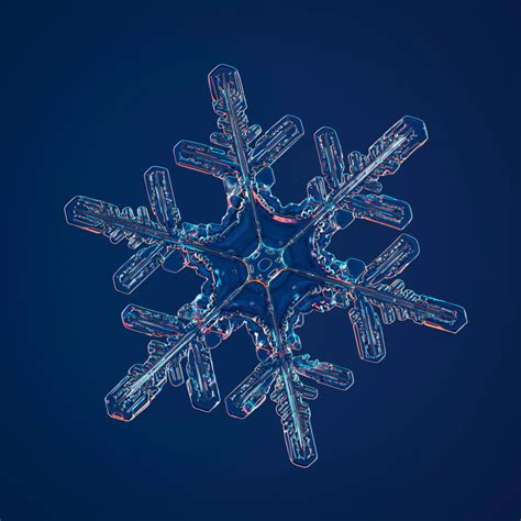 Photos of Snowflakes Like You've Never Seen Them Before - The New York ...