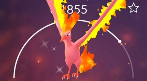 Pokemon GO: How to Get Shiny Moltres