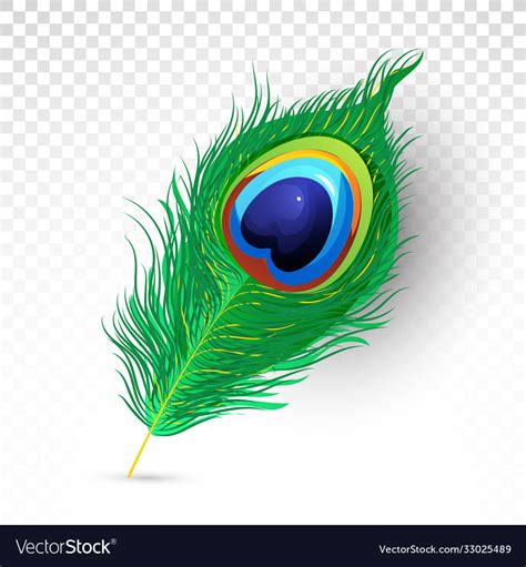 Realistic beautiful peacock feather Royalty Free Vector