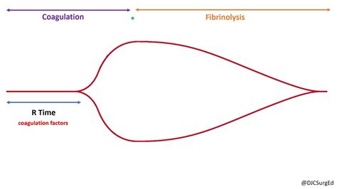 Thromboelastography - YouTube