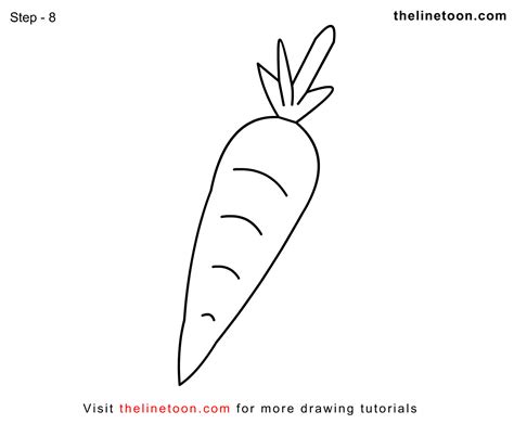 Carrot Drawing at PaintingValley.com | Explore collection of Carrot Drawing