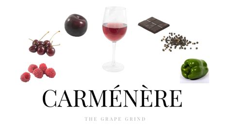 All you need to know about Carménère: A quick guide | The Grape Grind