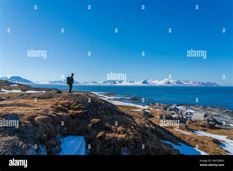 An arctic guide checking the area for Polar bears, Gasbergkilen, Spitsbergen, Svalbard Islands ...