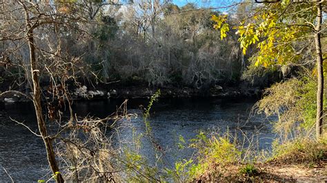 Suwannee River State Park Review – Florida – John Marucci – On The Road