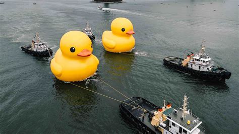 Florentijn Hofman’s ‘Rubber Duck’ returns to Hong Kong — and now there ...