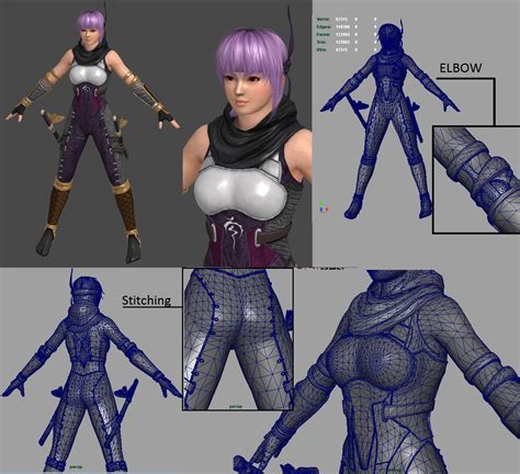 Ninja gaiden 3 ayane brings a sword - Waschampion