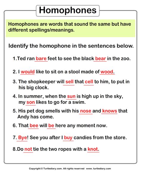 Underline Homophones in each Sentence Worksheet - Turtle Diary