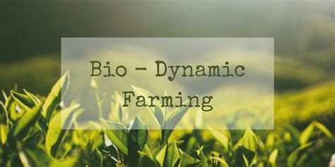 Why Is Everyone Talking About Biodynamic Farming? - Uyir Organic Farmers Market