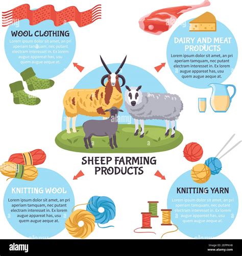 Sheep breeding farm products flat infographic poster with dairy and ...