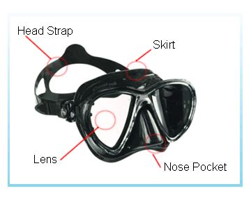 Scuba Mask Guide