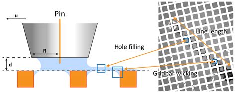 Overcoming the Learning Curve of CRYO-EM Sample Preparation ...