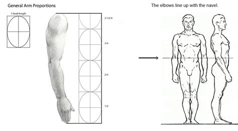 Understanding proportions when sculpting dolls — Adele Po.