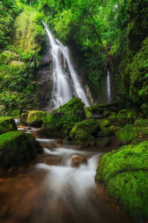 Natural Springs in the Mountains Stock Image - Image of water ...