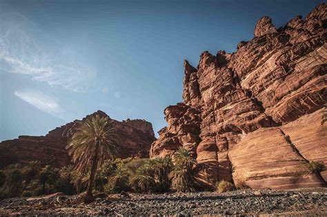 Guide to Tabuk in Saudi Arabia | Travel | Time Out Dubai